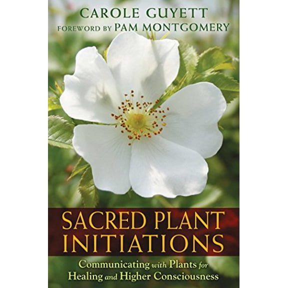 Pre-Owned Sacred Plant Initiations: Communicating with Plants for Healing and Higher Consciousness (Paperback) 1591432138 9781591432135