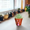 Funny Succulent Pot, Plant Pots, Herb Pot with Drainage Hole and Tray
