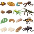 thumbnail image 2 of Figuritas de insectos ciclo de vida del escarabajo ciervo, abeja de miel, mantis, hormiga plástico Safariology Bug figuras juguete Kit, 16 Uds Namotu WRLF-332, 2 of 7