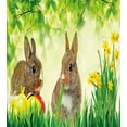 thumbnail image 3 of Easter Bunny Duvet Cover Set, Brown Litte Rabbits Meadow Green Grass Spring Easter Photography, Decorative 2 Piece Bedding Set with 1 Pillow Shams, Twin Size, Multicolor Fern Green, by Ambesonne, 3 of 3