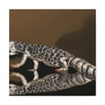 thumbnail image 2 of "Gila Monster Minimalism" - Canvas, 2 of 25