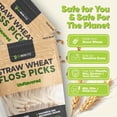 thumbnail image 4 of Dental Floss Picks - Straw Wheat Flossers | Thin & Shred-Resistant Thread for Tight Gaps Adults Gentle on Gums Teeth Gluten-Free Vegan (200 Pack Unflavored), 4 of 4