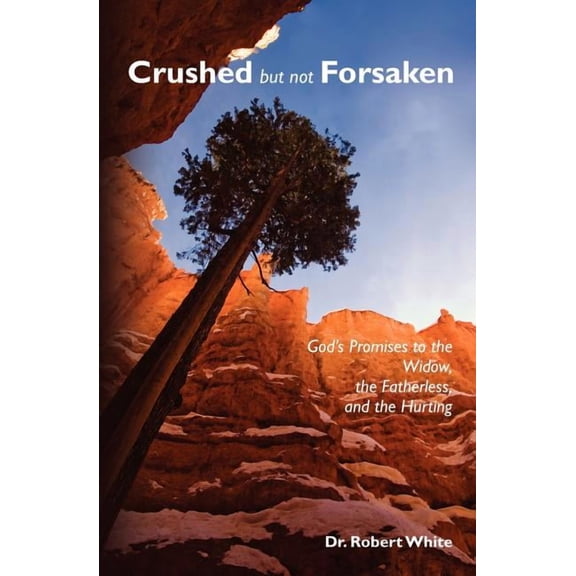 Crushed but not Forsaken: God's Promises to the Widow, the Fatherless, and the Hurting, (Paperback)