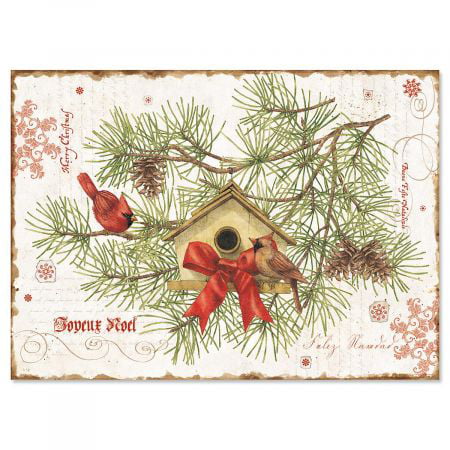Nature's Praise Religious Christmas Cards- Set of 18 Holiday Greeting
