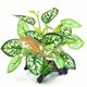 thumbnail image 1 of MRTIOO Reptiles Plantas Artificiales Plantas De Terrario Decoraciones Suministros Hábitat De Anfibios Escondite Accesorios para Tanques Planta De Tierra De Selva Tropical, 1 of 1