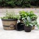 thumbnail image 3 of Maceta universal de imitación de madera, maceta de hierro para árbol de flores, maceta de resina, maceta creativa de plástico grande para plantas verdes, 3 of 5