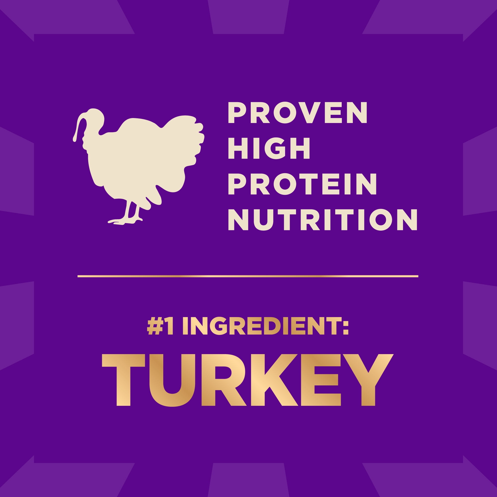 Wellness CORE+ Dry Dog Food with Freeze Dried Pieces, Small Breed, Wholesome Grains, High Protein, Natural, Original Turkey & Chicken Recipe, (4-Pound Bag)