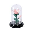 thumbnail image 2 of Kchsji Preserved Florals Night Light - Valentines, Christmas Decor, Mini Ambient Lamp for Bedroom, Desk, Cozy Lighting, Home Accents, Perfect Gift for Loved Ones, Warm Glow for Any Room, 2 of 6