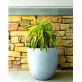 thumbnail image 6 of GUAGNDONG CREATIVE STONE GARDEN DECORATION CO LTD Durx litecrete Lightweight Concrete Modern Seamless Round Cement Color Planter Large, 6 of 7