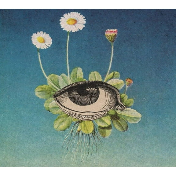 Ojerum - The Limited Circle Is Pure - Electronica - CD