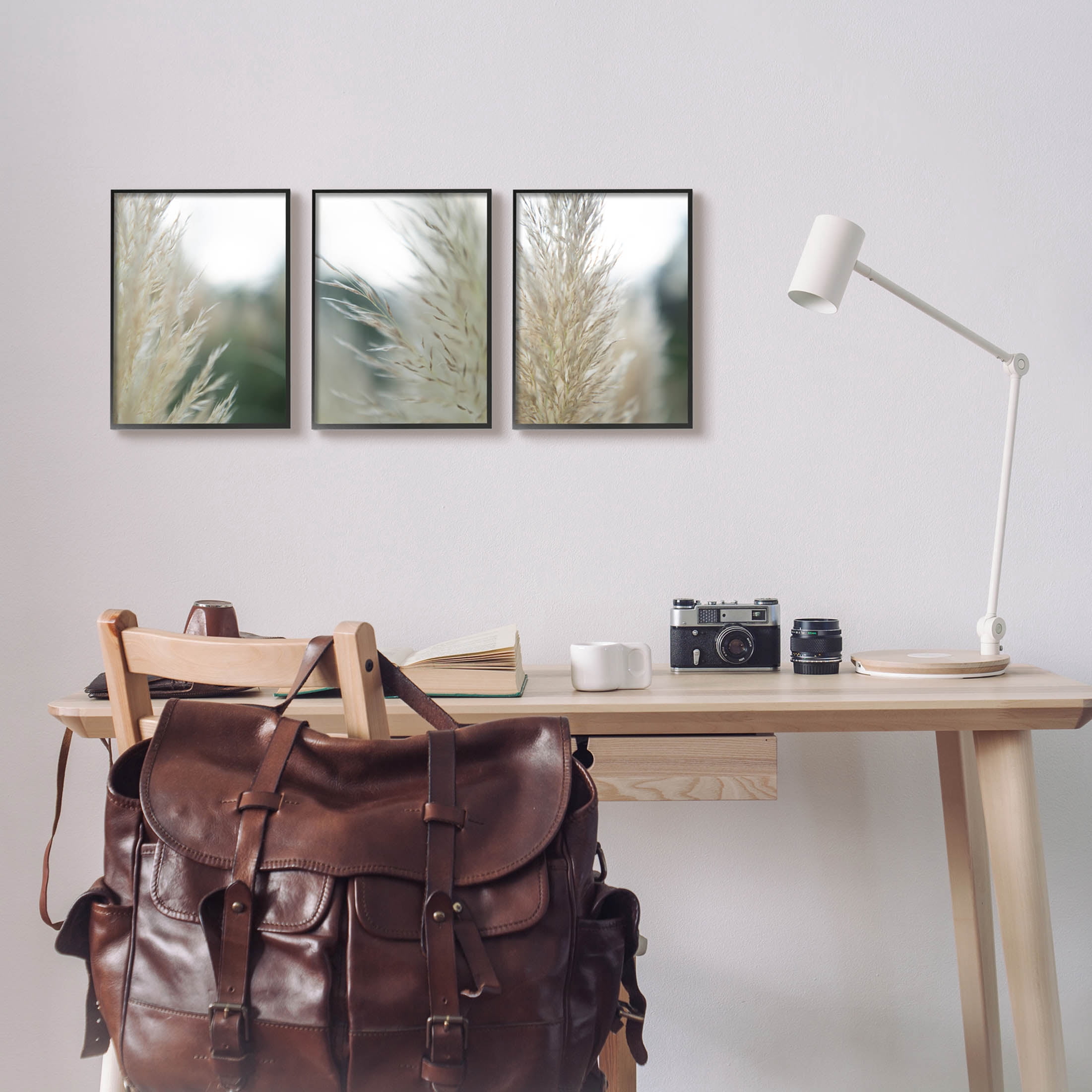 Stupell Industries Breezy Pampas Tall Grass Photograph Black Framed Art Print Wall Art, Set of 3, Design by Jason Johnson