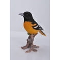 thumbnail image 4 of Hi-Line Gifts Oriole on Branch Outdoor Garden Statue - 7" - Black and Orange, 4 of 5