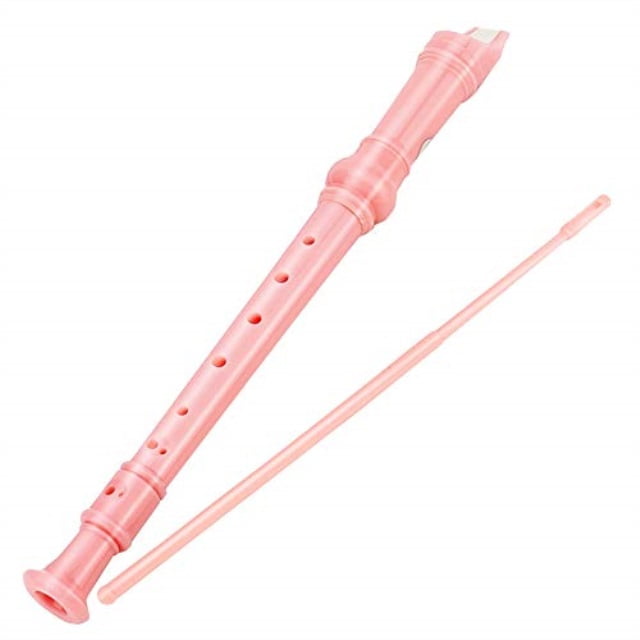8Bees Descant Soprano Recorder 8 Hole with Cleaning Rod,Basic Musical Instrument for School Student Blue CrazyRinbow DER58