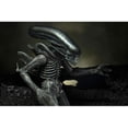 thumbnail image 4 of Alien (1979) 9" 40th Anniversary H.R. Giger Alien Action Figure, by NECA, 4 of 4