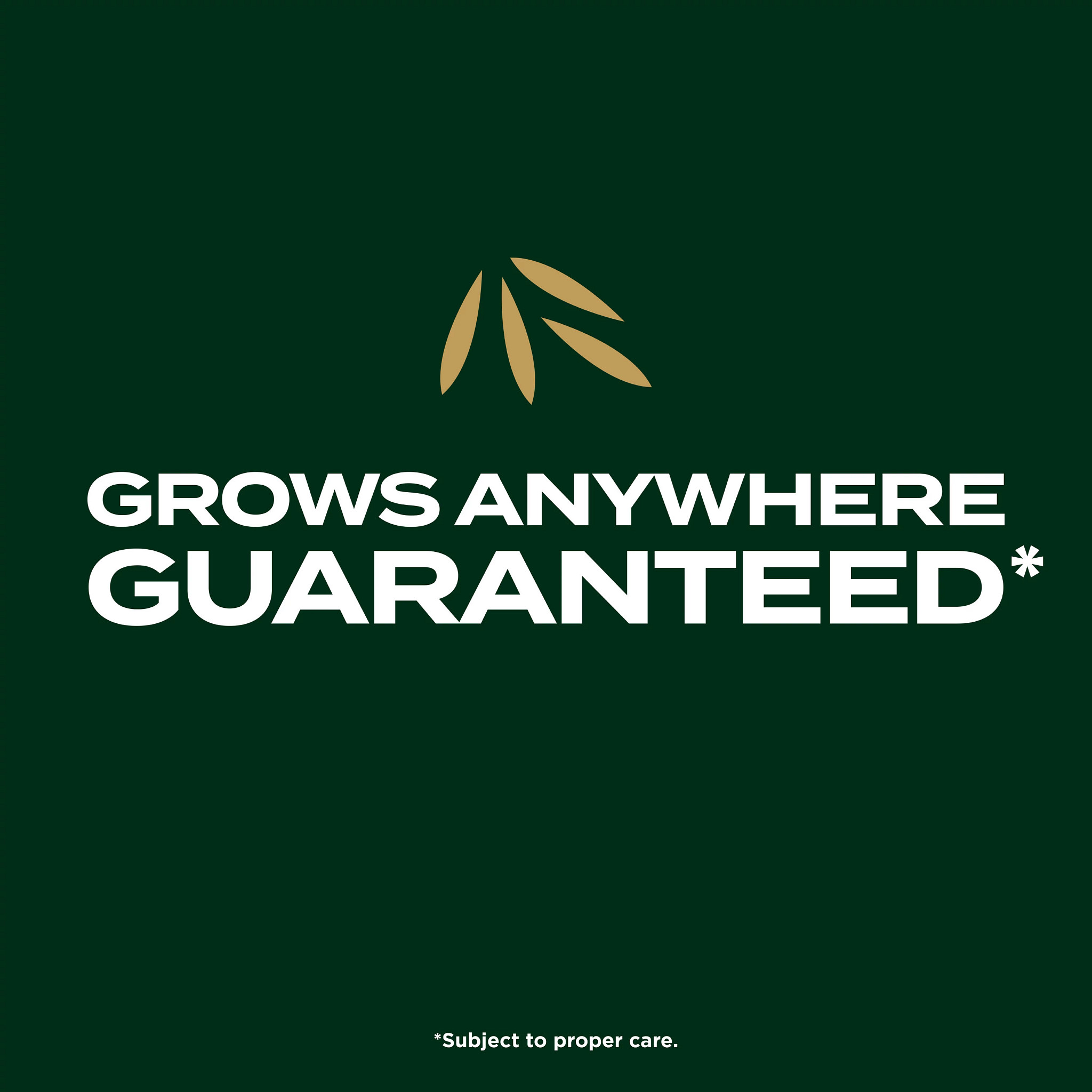 Scotts EZ Seed Patch & Repair Southern Gold Blend for Tall Fescue Lawns, 10 lbs.