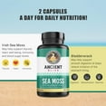 thumbnail image 3 of Ancient Bliss Organic Irish Sea Moss Pills, Rich in 102 Minerals -Dr. Sebi Wildcrafted Sea Moss Capsules Thyroid, Healthy Skin & Joint Support, 120 Capsules, 3 of 7