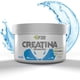 thumbnail image 1 of Creatina 100% Monohidratada FSB Suplemento Alimenticio 500 gr Creapure®, 1 of 5