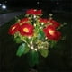 thumbnail image 4 of Billuyoard Luces de flores alimentadas por energía Solar, luces decorativas para césped al aire libre, luz Solar para césped de rosas, luz para Iluminación y accesorios Rosa roja, 4 of 6
