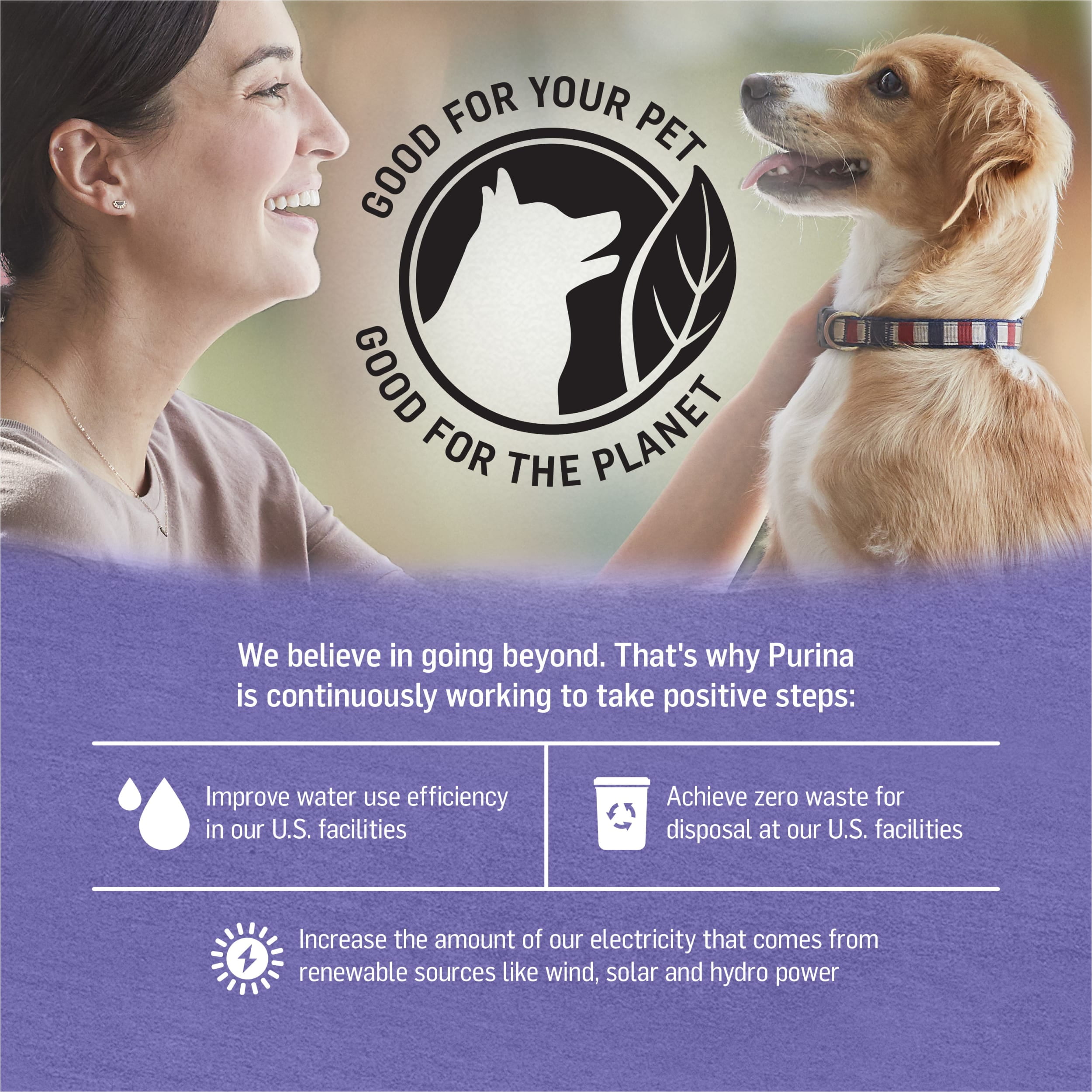 (3 pack) Purina Beyond Ground Entree Wet Dog Food Natural Soft Grain Free Turkey & Sweet Potato, 13 oz Can