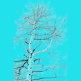 thumbnail image 2 of abstract winter tree Mens Ocean Blue Graphic Tee - Design By Humans  S, 2 of 3