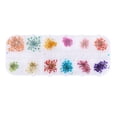 thumbnail image 1 of 12 colores de flores secas naturales para uñas acrílicas de gel UV, diseño de uñas, decoración DIY, 1 of 12