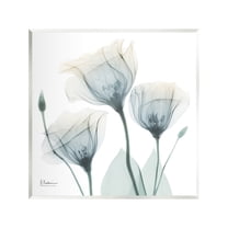 Stupell Industries Soft Opaque Tulips Botanical & Floral Photography Unframed Art Print Wall Art, 12 x 12