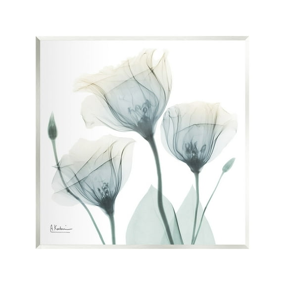 Stupell Industries Soft Opaque Tulips Botanical & Floral Photography Unframed Art Print Wall Art, 12 x 12
