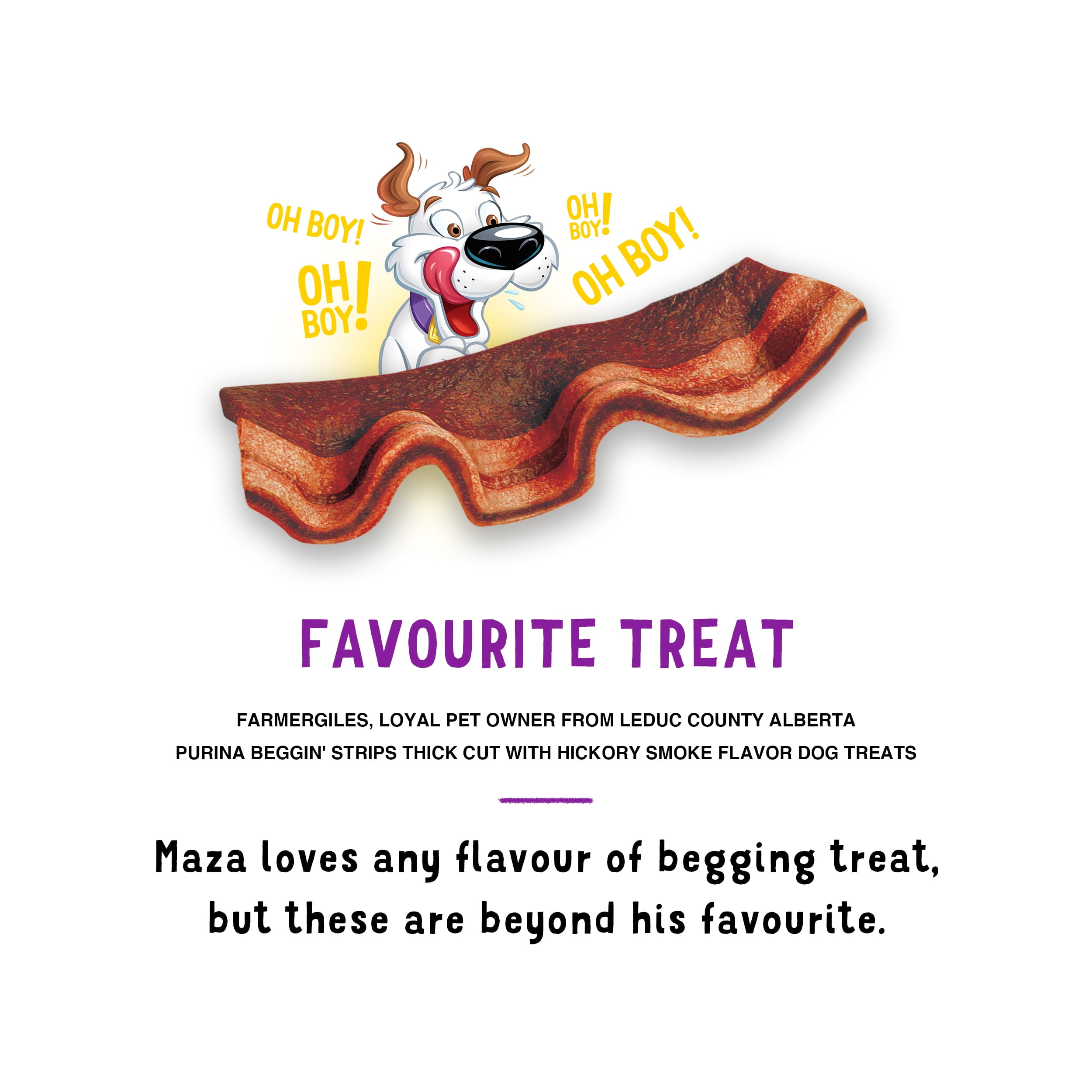 Purina Beggin Strips With Real Meat Dog Treats Thick Cut Hickory