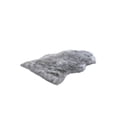 thumbnail image 1 of Leodye 1PCS Fluffy Rug Contemporary Area Rug Comfortable Floor Mat Doormat for Bedroom Porch Hallway Dorm and Home Decoration -23.62x35.43in, 1 of 6