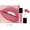 101 Color, variant on Matte No Stain On Cup 24 Colors New Lip Gloss