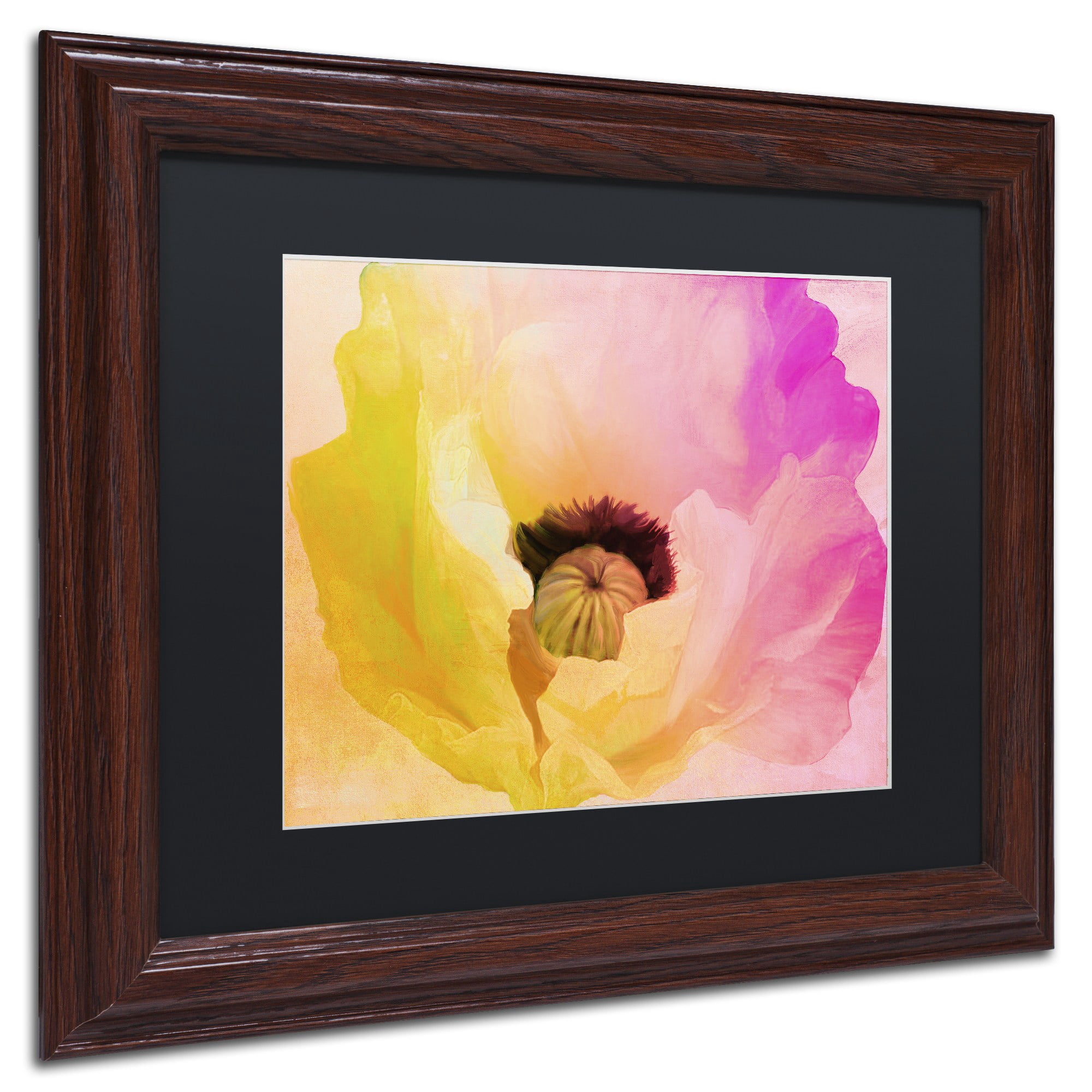 Trademark Fine Art "Poppy Gradient II" Canvas Art by Color Bakery Black Matte, Wood Frame