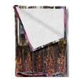thumbnail image 2 of Wire Soft Flannel Fleece Blanket, Old Rusted Electrical Panel with Fuses and Contacts in Abandoned Energy Factory Print, Cozy Plush for Indoor and Outdoor Use, 60" x 80", Multicolor, by Ambesonne, 2 of 5