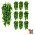 thumbnail image 1 of Set 10pzs Helechos Bloosom  Planta Artificial Colgante Boda Fiesta Pared Verde, 1 of 4