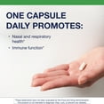 thumbnail image 3 of Metagenics UltraFlora Immune Booster Probiotic - Daily Probiotic - Healthy Nasal, Sinus, & Respiratory Function* - 30 Count, 3 of 8
