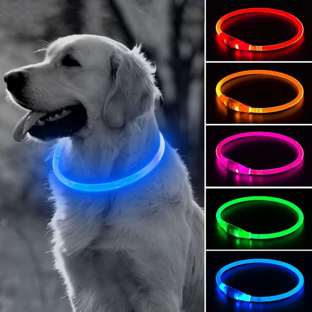 Collar LED para perros BSEEN, visible 360°, resistente a la lluvia, recargable, azul