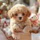thumbnail image 3 of My lifelike robot puppy, a robot puppy that behaves like a real dog, a cute soft robot dog that walks and barks (brown), 3 of 5