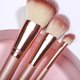 thumbnail image 5 of Makeup Brush Set Basic makeup brush set, 12 pcs. Beginner's Makeup Utensils Makeup Brushes, 5 of 5