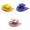 thumbnail image 1 of 3Set de sombrero de malla, pinza para el pelo, , accesorios para el cabello, diadema Amarillo Azul Rosa Hugo sombrero tocado, 1 of 10