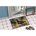 thumbnail image 4 of Carolines Treasures DAC3180JMAT 24 x 36 in.  American Black Duck Doormat, 4 of 6