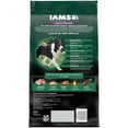 thumbnail image 3 of Iams Advanced Health Healthy Digestion Adult Dry Dog Food With Real Chicken, 6 Lb Bag, 3 of 16