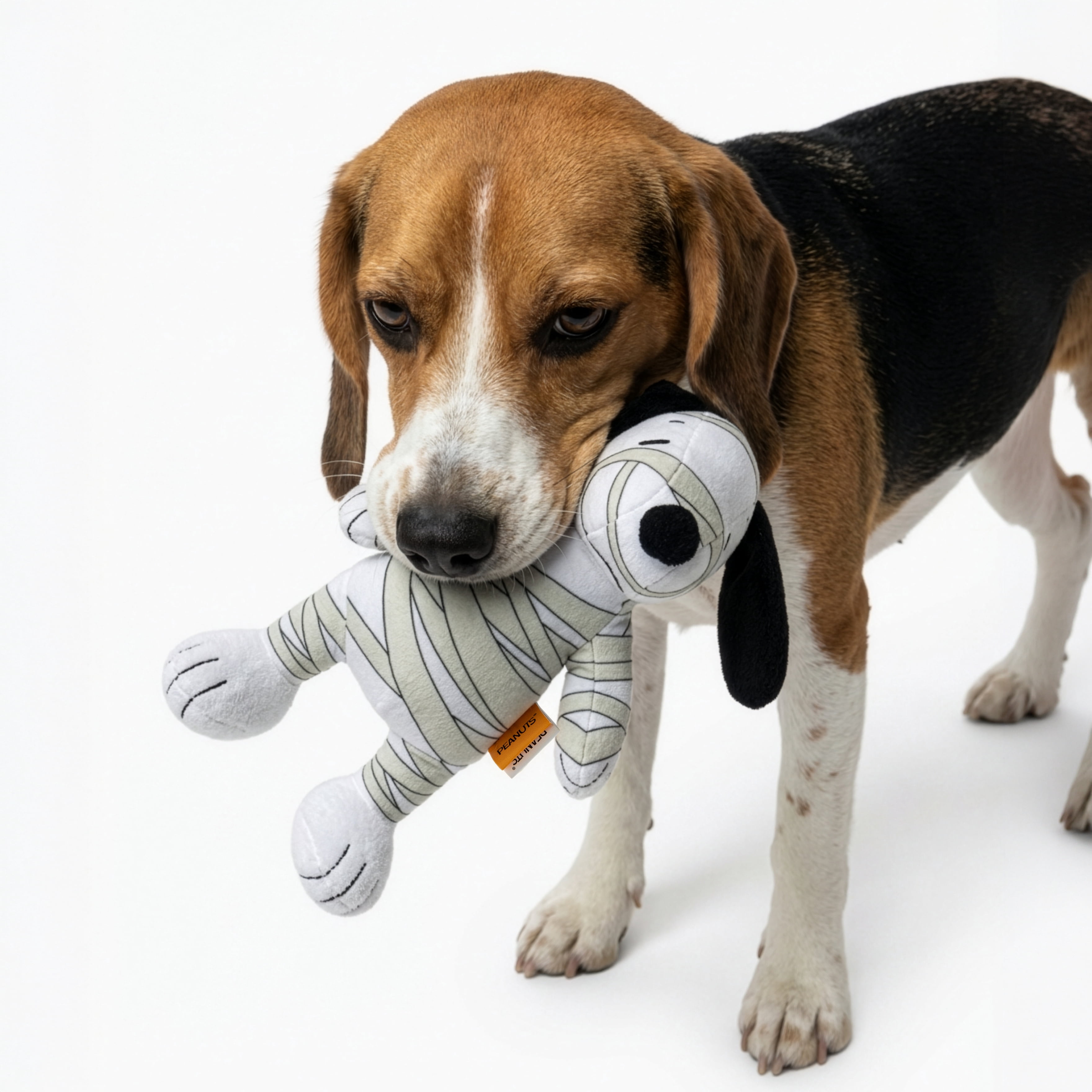 Peanuts Officially Licensed Snoopy Plush Dog Toy, Squeaky Dog Toys with Built-In Crinkle