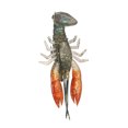 thumbnail image 4 of Cebo blando para langostinos, langostinos y camarones de Lixada de 8 cm/14 g, 4 of 8