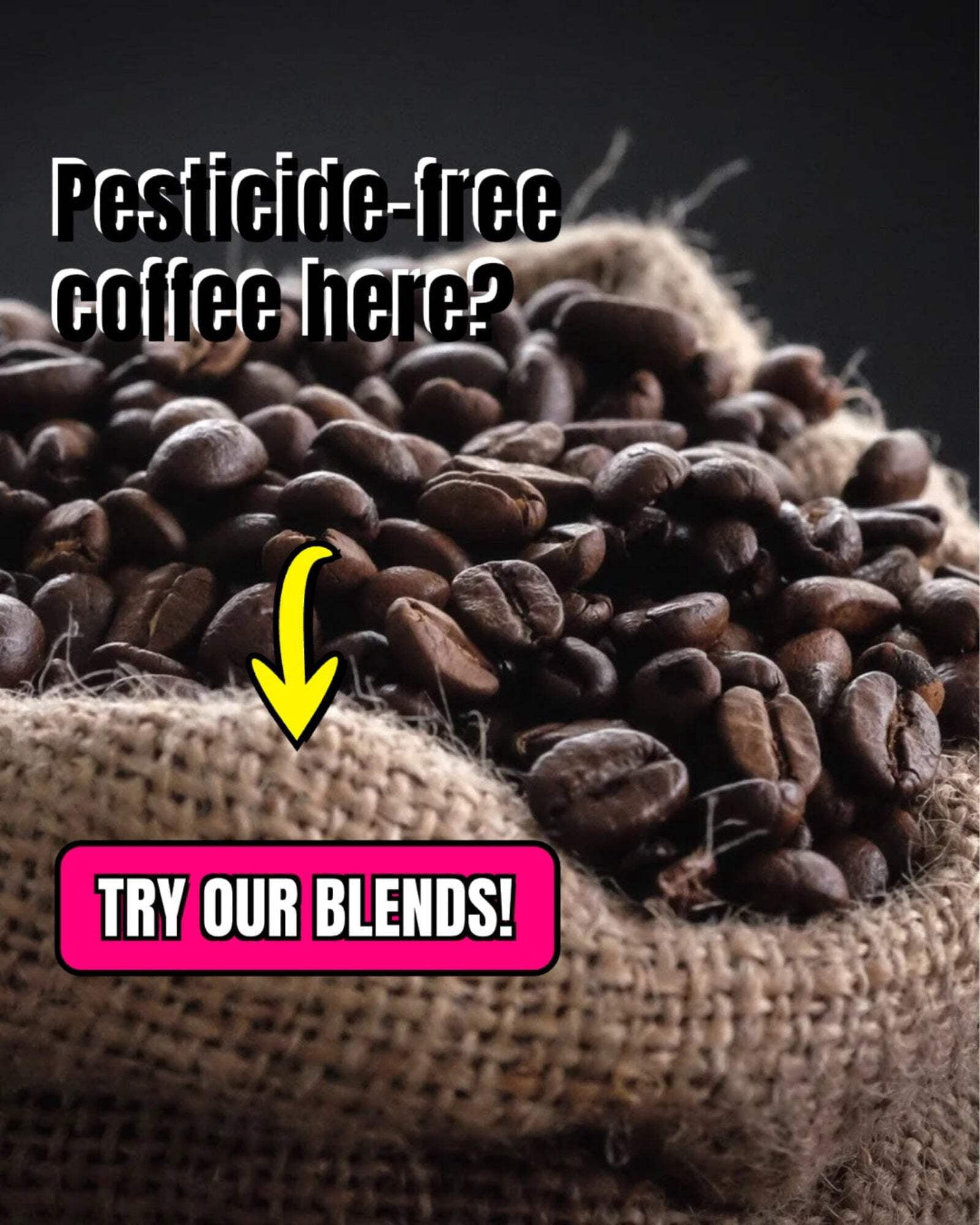 Nature Source Coffee Half Caff Blend Swiss Water Ground Coffee Organic 100% Arabica Naturally Decaffeinated Medium Roast 1-Pack 12oz