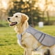 thumbnail image 3 of Chaleco De Enfriamiento Para Perros Abrigo De Enfriamiento Para Mascotas Ajustable Para Acampar Caminar Verano XL SM SunniMix Arnés de chaleco de refrigeración, 3 of 8