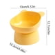 thumbnail image 3 of CaiYueKe Elevated Cat Food and Water Bowl with Stand, Anti Vomit Slow Feeder Dish for Kittens and Adult Cats, Tilted Design for Easy Eating and Drinking, Durable Plastic Pet Feeding Bowls, 3 of 7
