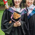 thumbnail image 2 of Conjunto de traje de graduación de oso de peluche hecho a mano con birrete, chal y pergamino. Disfraz de graduación de animales de peluche para celebraciones., 2 of 8
