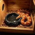 thumbnail image 6 of FEOLGEHLY Slow Feed Reptile Feeding Bowl Resin Feeding Bowl, Non Skid Simulated Rock Food Water Dish for Dog Cat, Practical Pet Feeding Accessories, 6 of 6