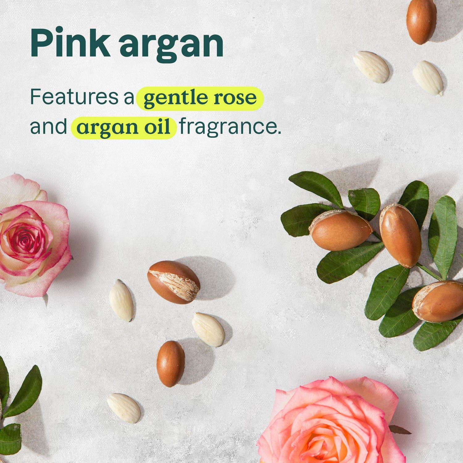 ATTITUDE super leaves, Revitalisant Amplificateur de Boucles, Huile de Coco 473 mL