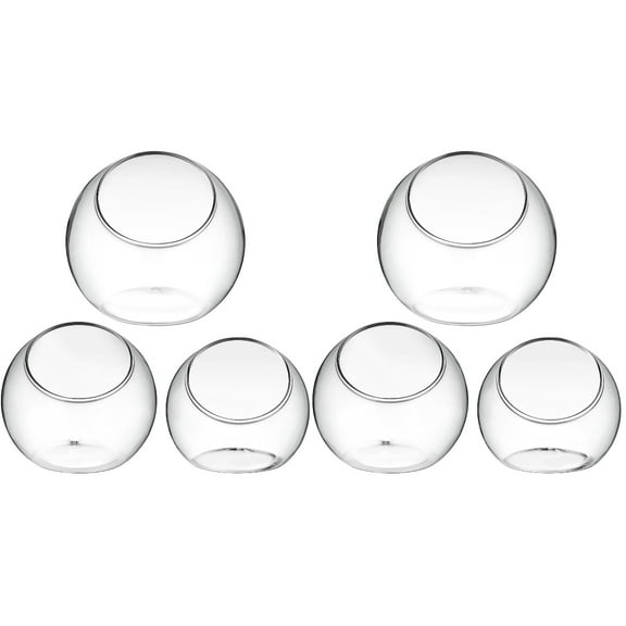 Supvox Small Round Glass Terrarium Vase Transparent Air Plant Container for Storage Use 6Pcs