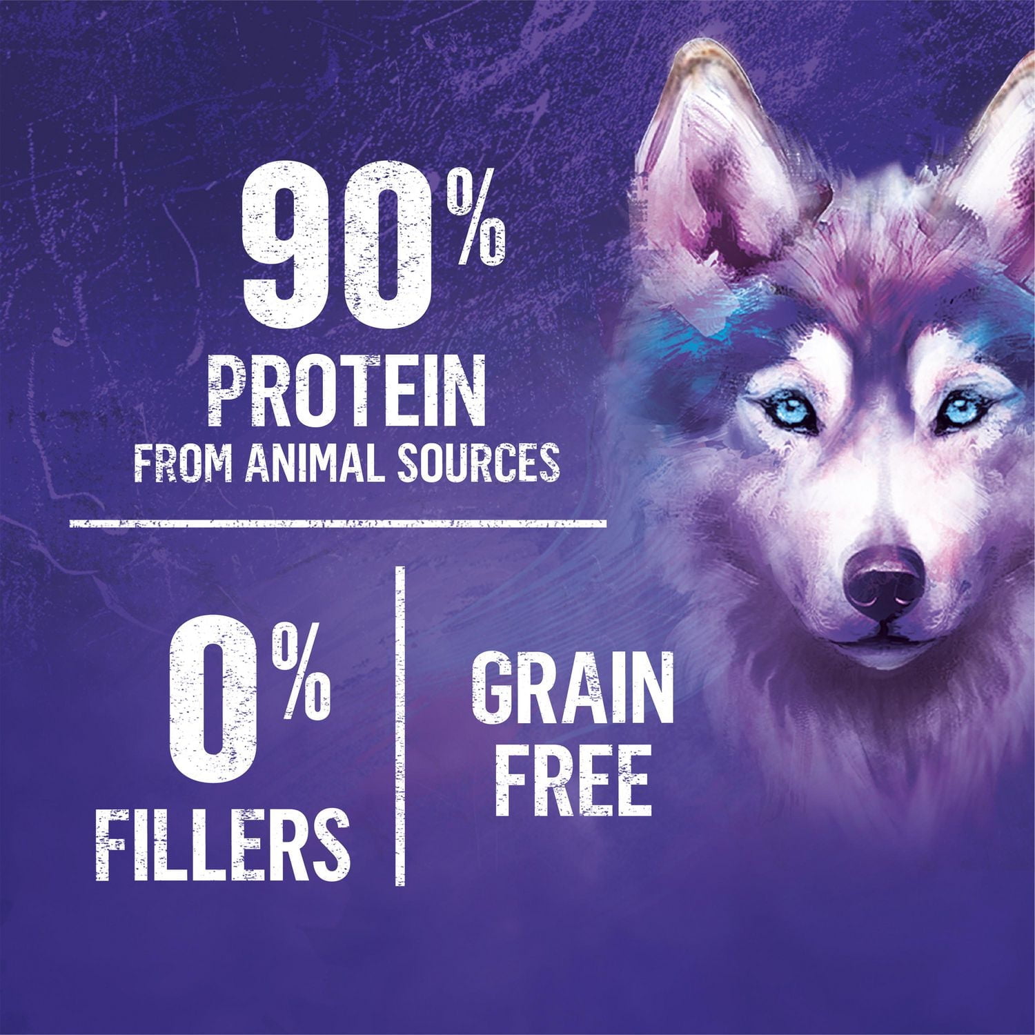 Beyond Wild Turkey & Beef Variety Pack, Wet Dog Food 368 g x 6